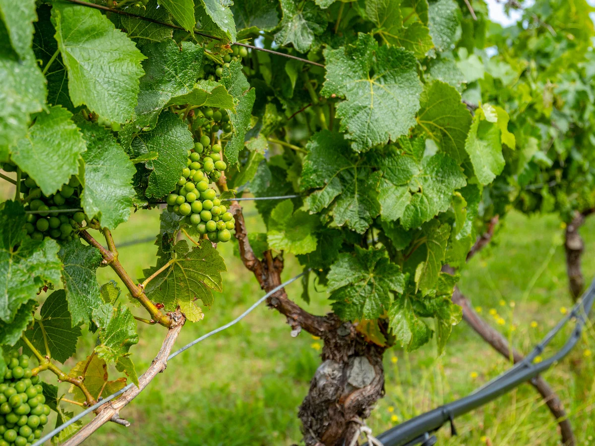 Additional image 19 of 1 & 3/173 Tea Tree Road, Brighton TAS 7030