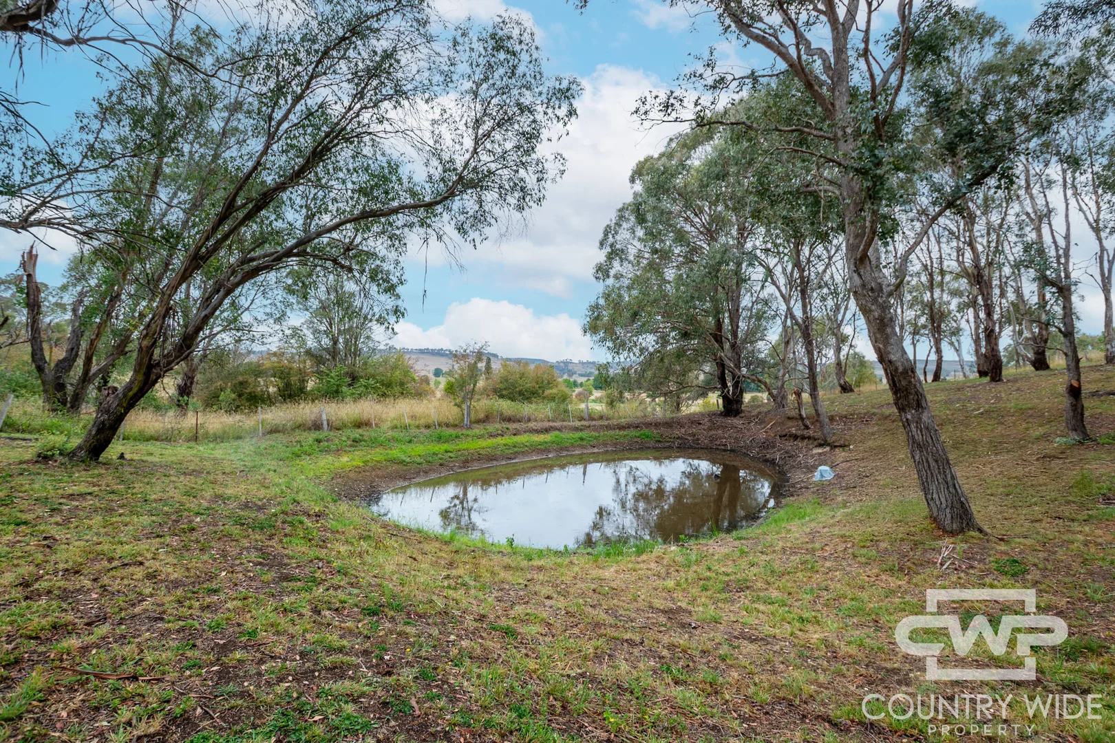 Additional image 18 of 5 Chandler Lane, Glencoe NSW 2365