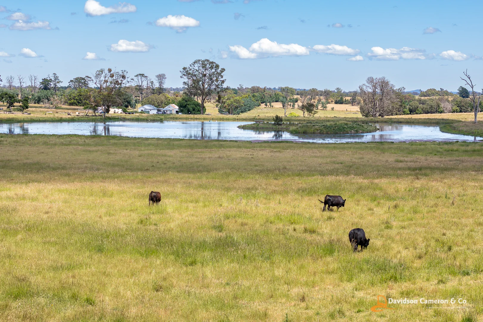 Additional image 8 of "Nandewar" 200 Burtons Lane, Kentucky NSW 2354