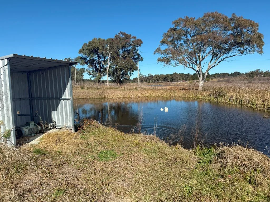 Additional image 16 of 79 Cottonvale School Rd, Cottonvale QLD 4375