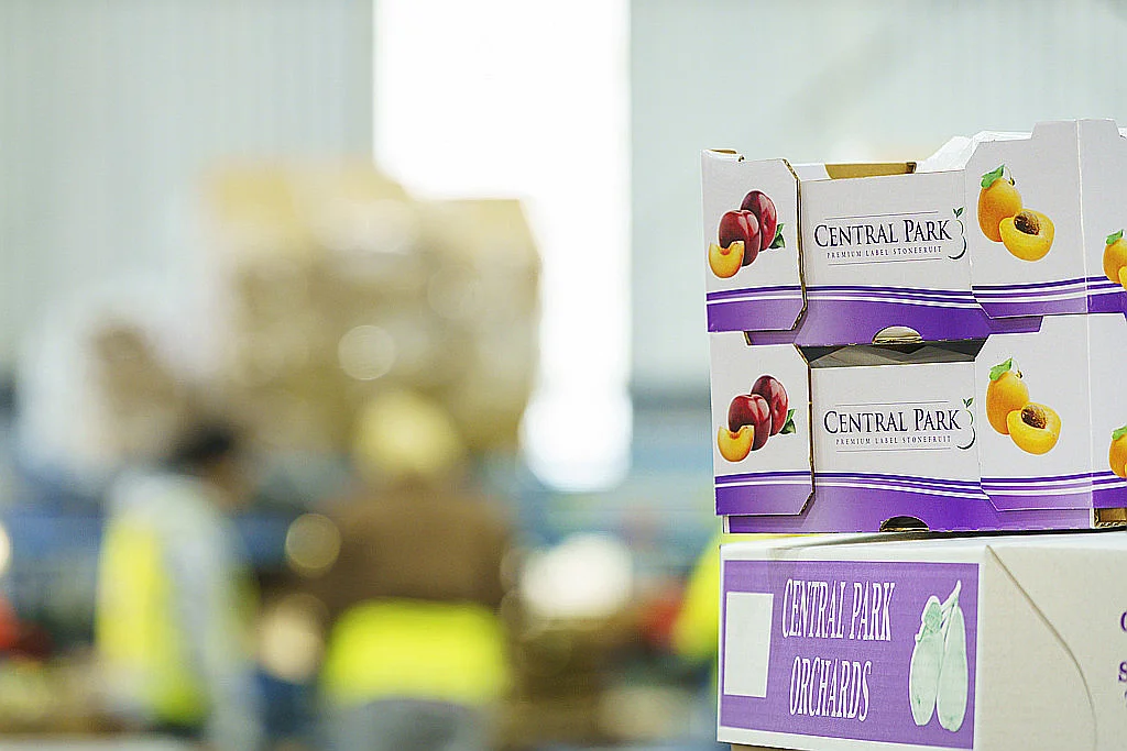 Additional image 2 of 595 Channel Road, Shepparton East VIC 3631