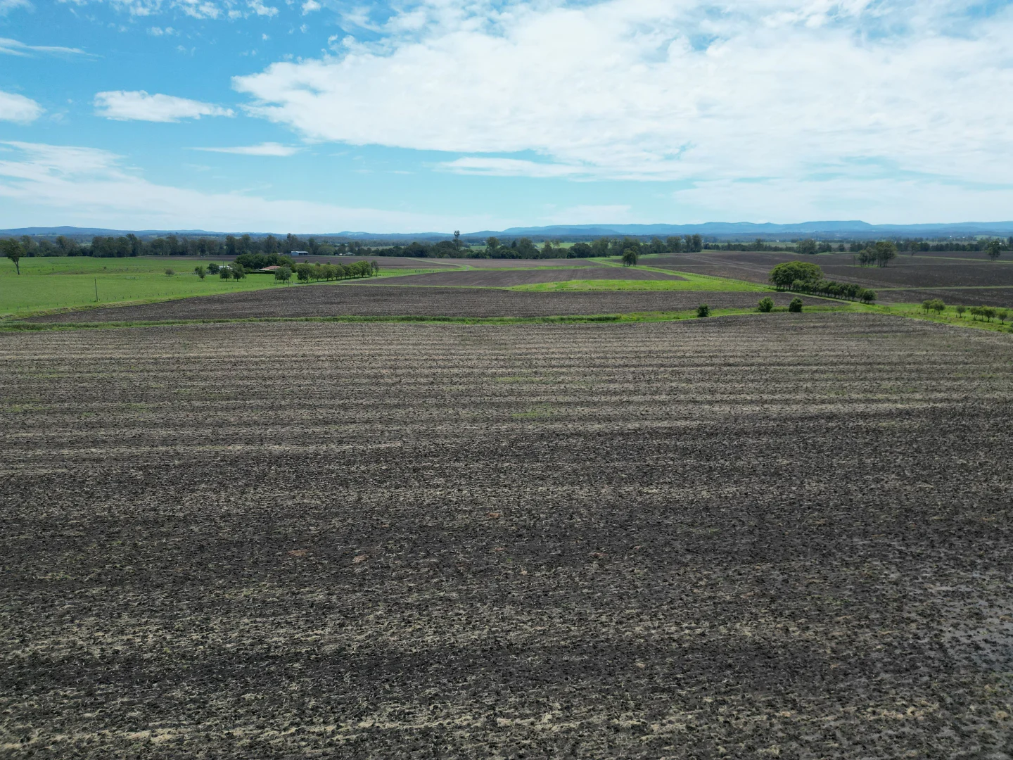 Additional image 10 of 80 Strongs Road, Fairy Hill NSW 2470