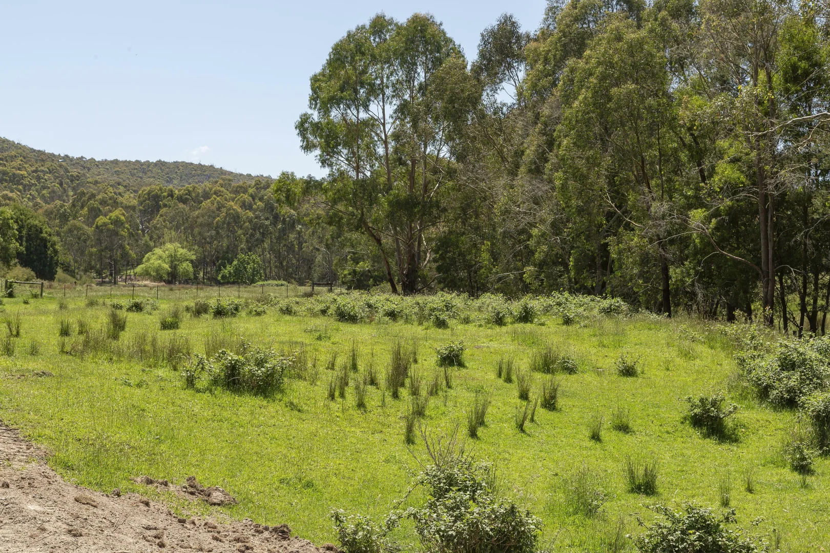 Additional image 24 of 2323 Heidelberg-Kinglake Rd, St Andrews VIC 3761