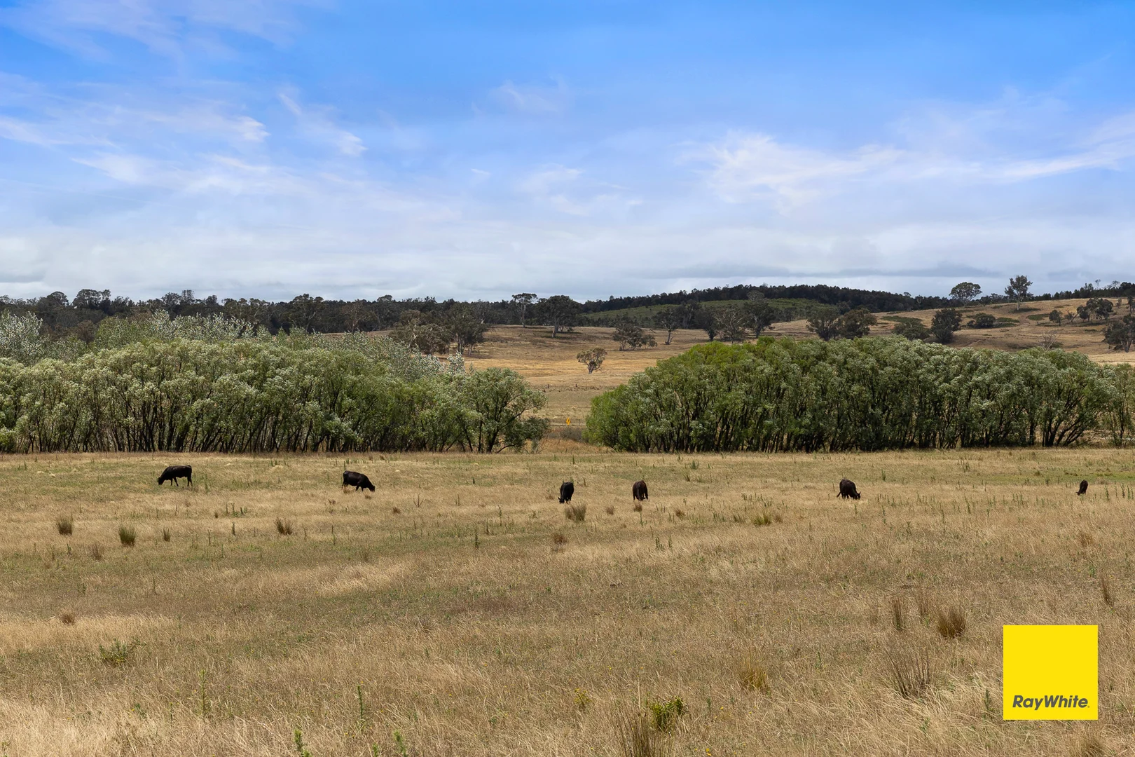 Additional image 32 of 1154 Goulburn Road, Boro NSW 2622