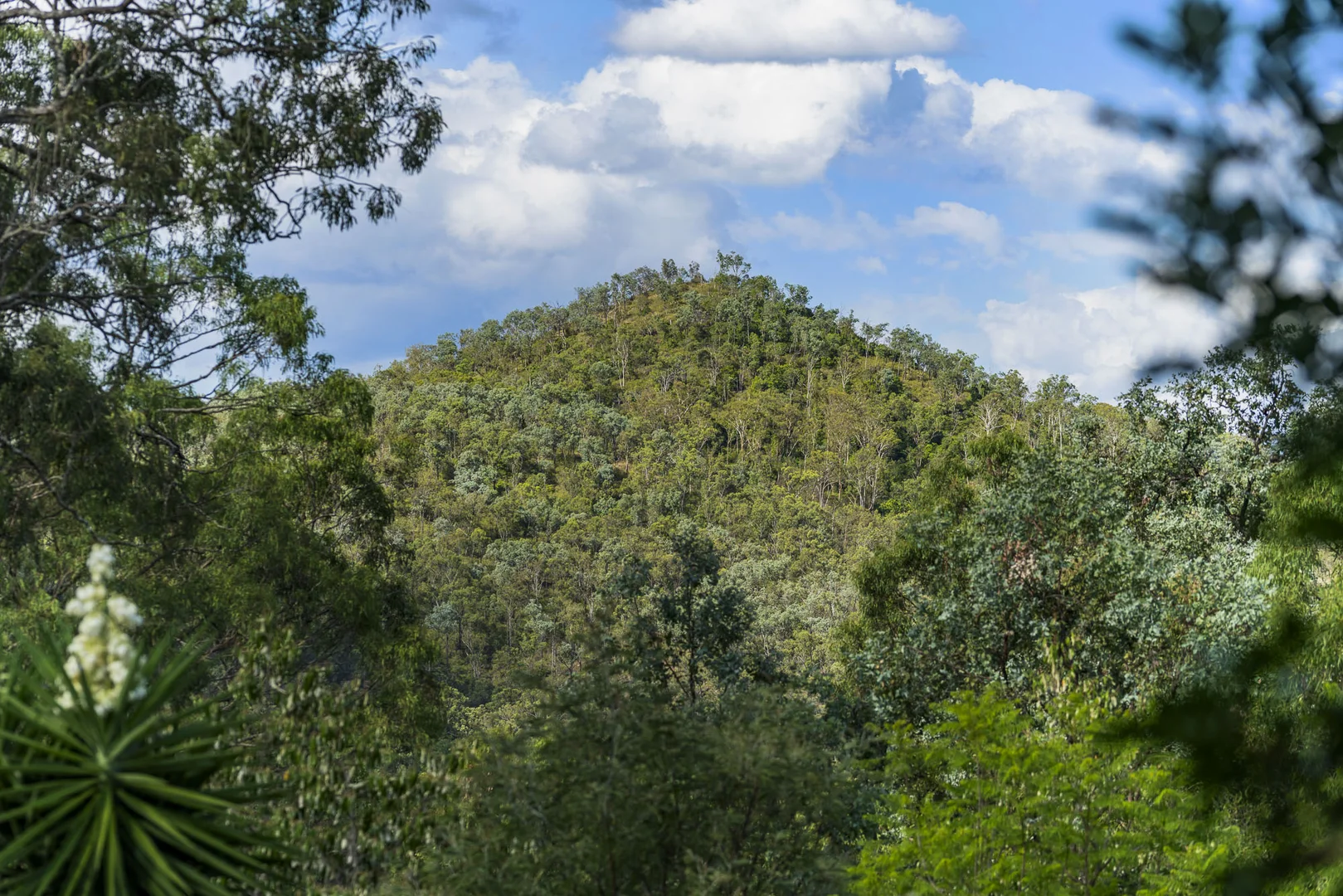 Additional image 5 of 220 Gittins Road, Postmans Ridge QLD 4352