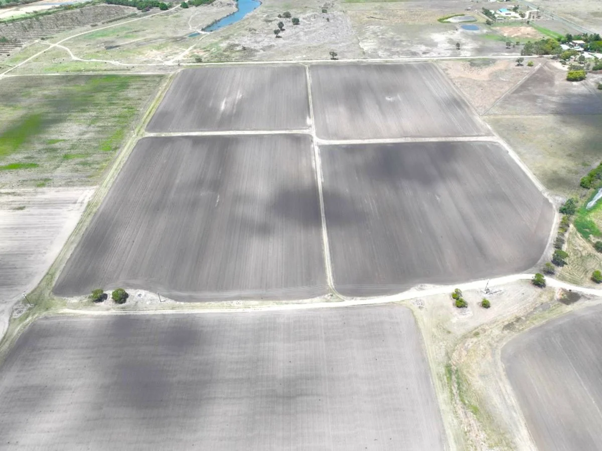 Additional image 5 of 31 Dalmore Lane, Bowen QLD 4805