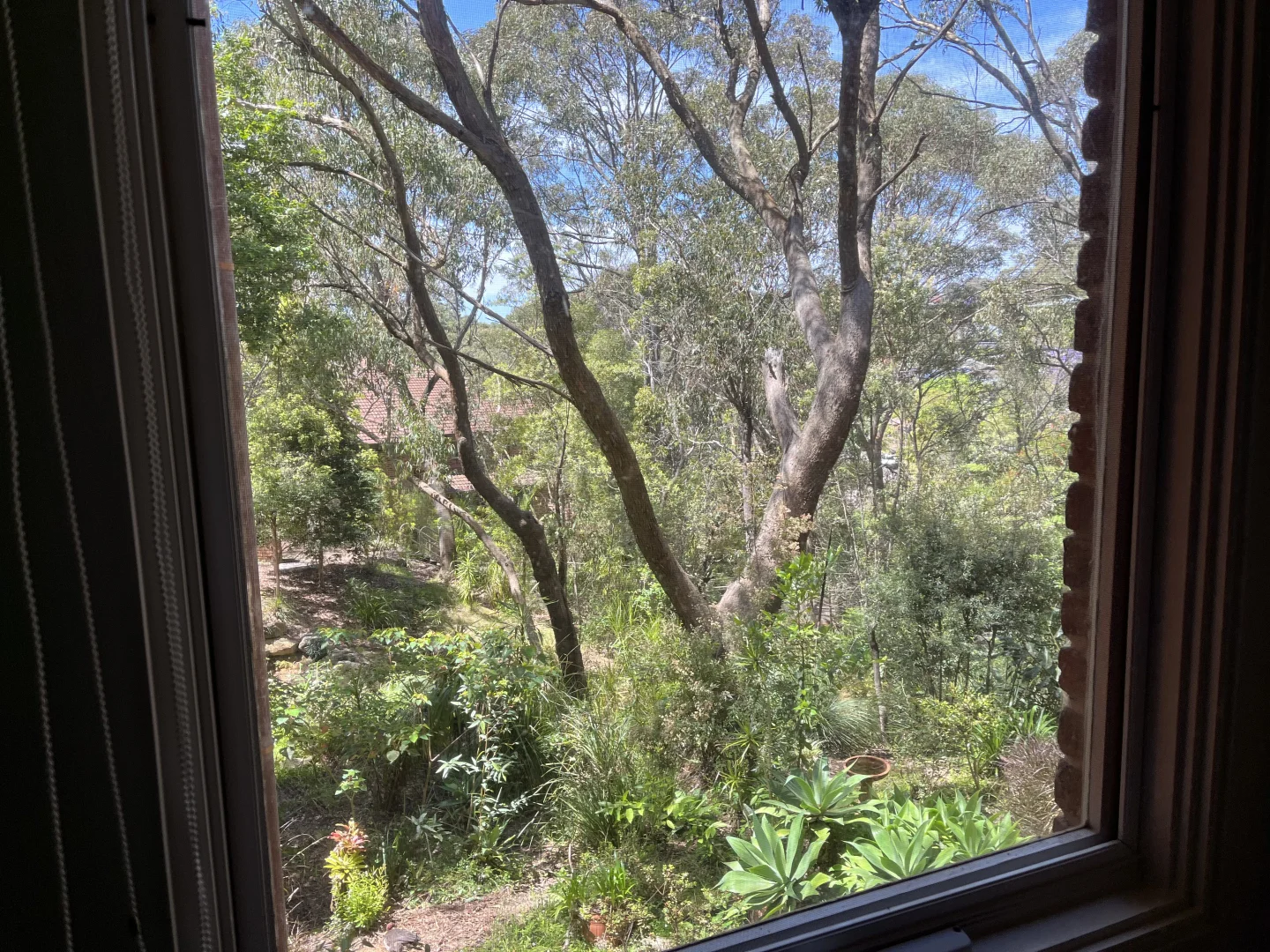 Additional image 15 of 311/81 Willandra Road, Narraweena NSW 2099