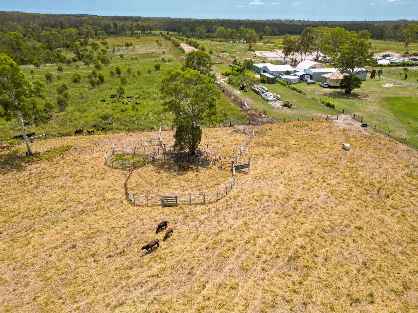 Additional image 21 of 594 Promisedland Road, Promisedland QLD 4660