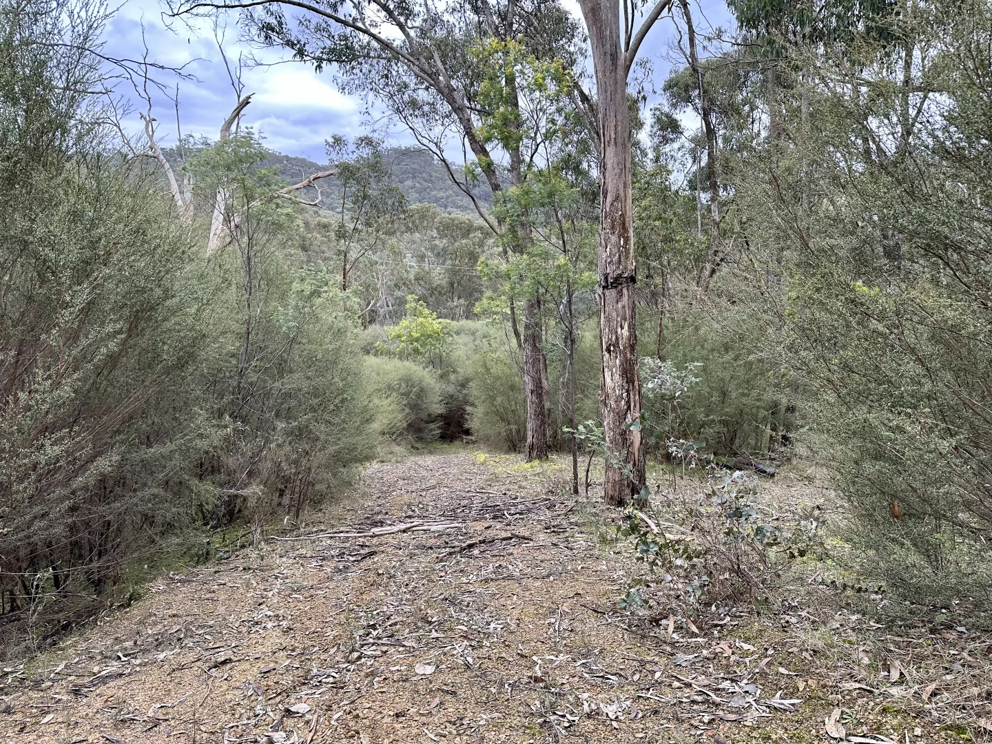 Additional image 8 of 52 Taylor Bay Road, Taylor Bay VIC 3713