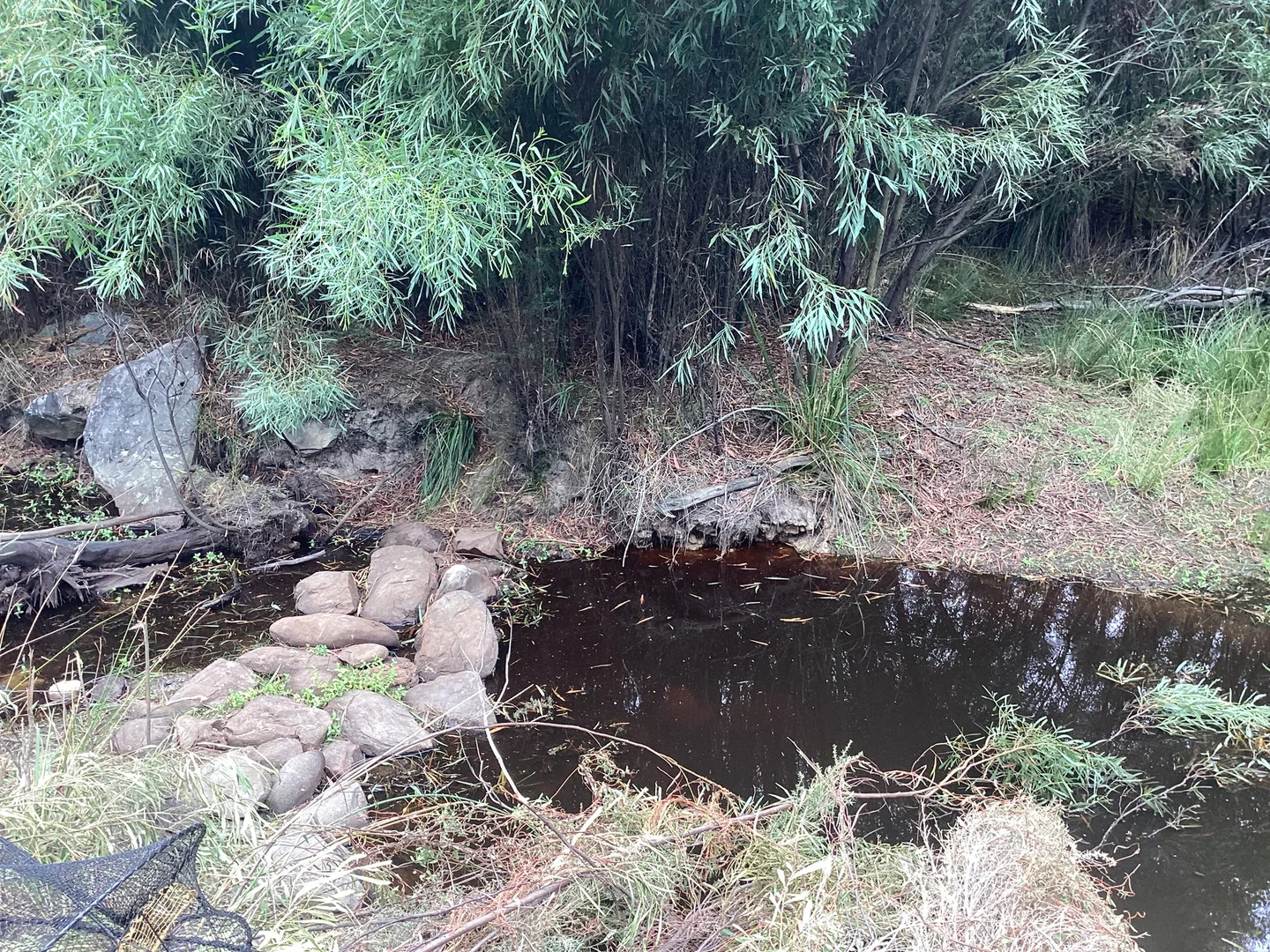 Additional image 49 of 157 Berrymans Road, Gosse SA 5223