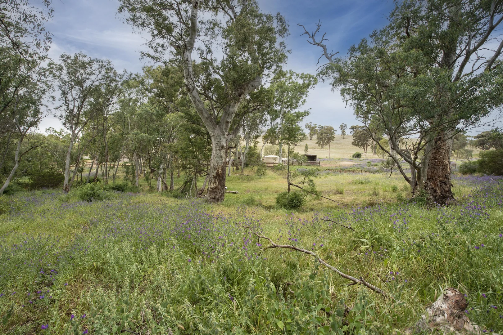 Additional image 26 of 1479 Survey Rd, Melrose SA 5483