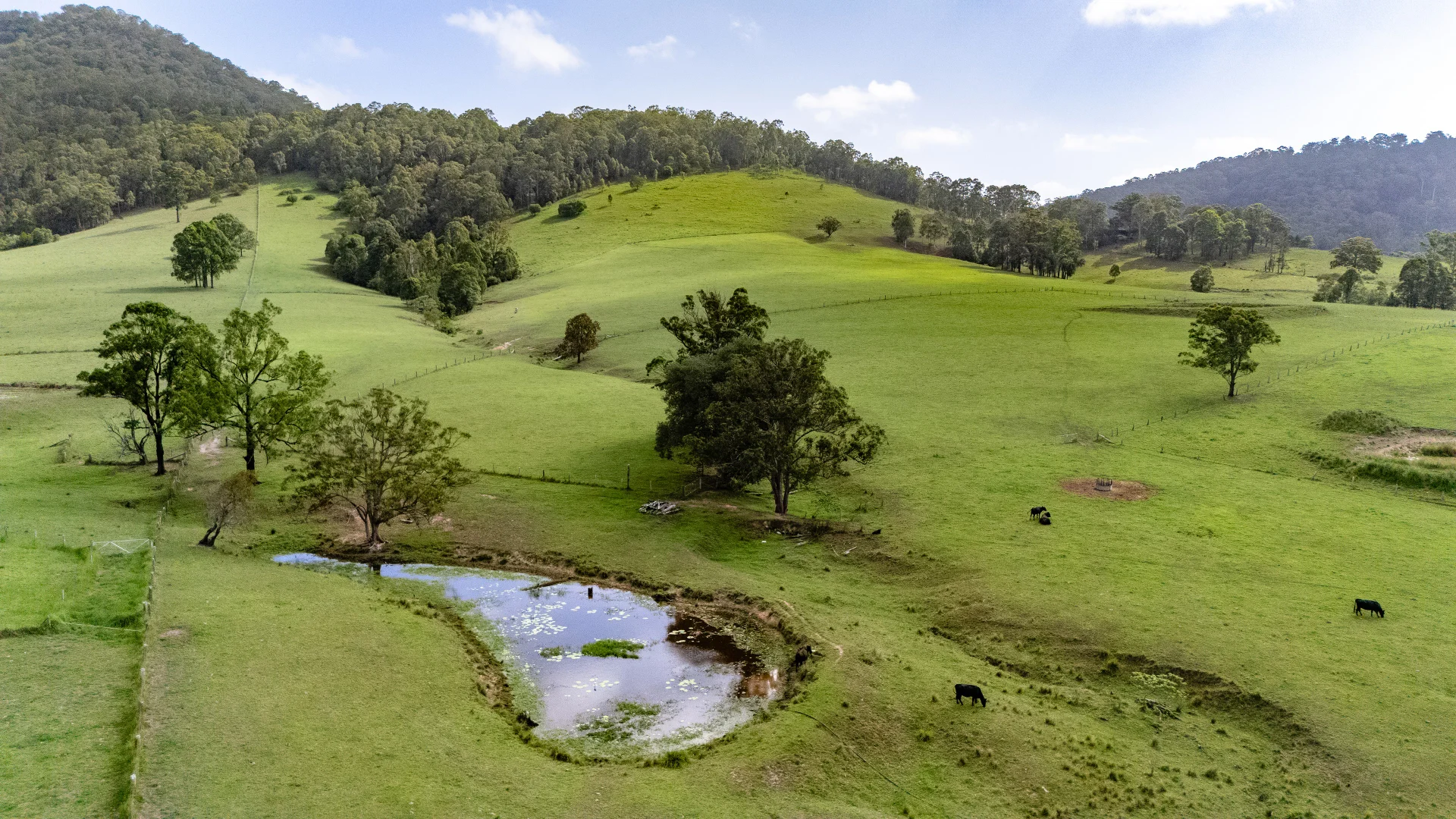 Additional image 31 of 529 Willina Road, Willina NSW 2423