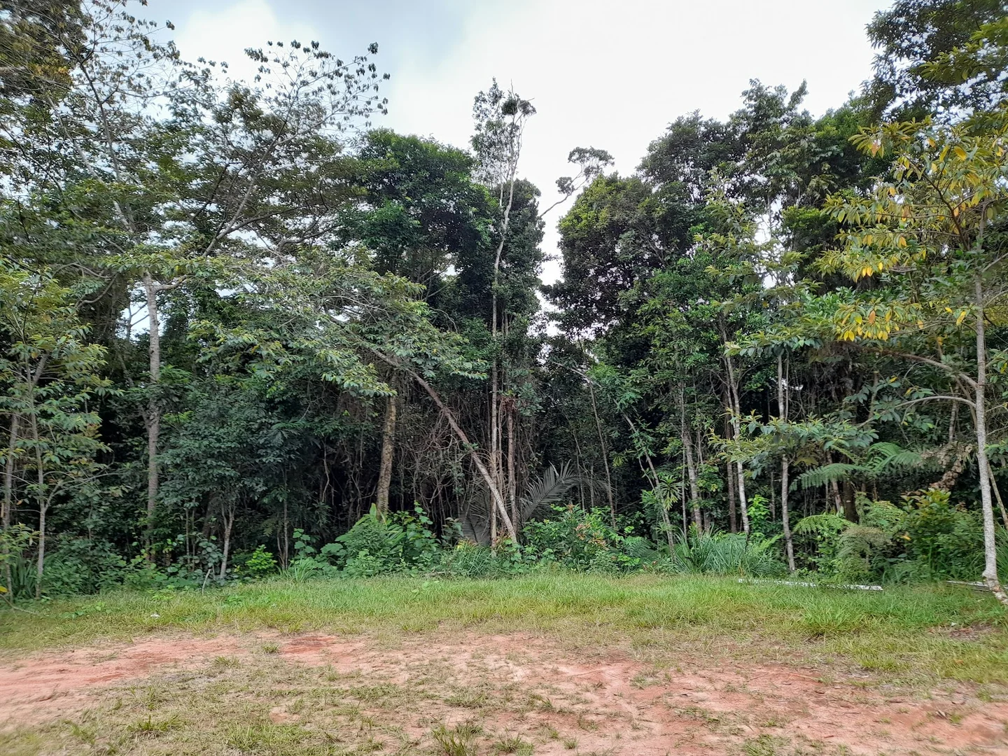 Additional image 14 of Lot 213 Kelly Road, Ellinjaa QLD 4886