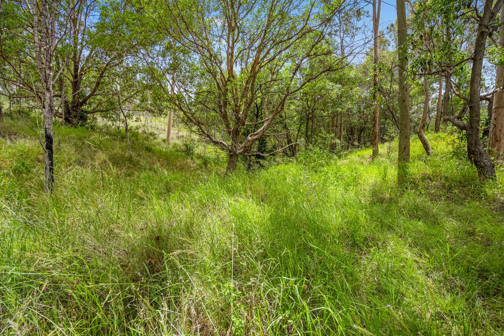 Additional image 15 of Lot 76 Rice Road, Lyons QLD 4124