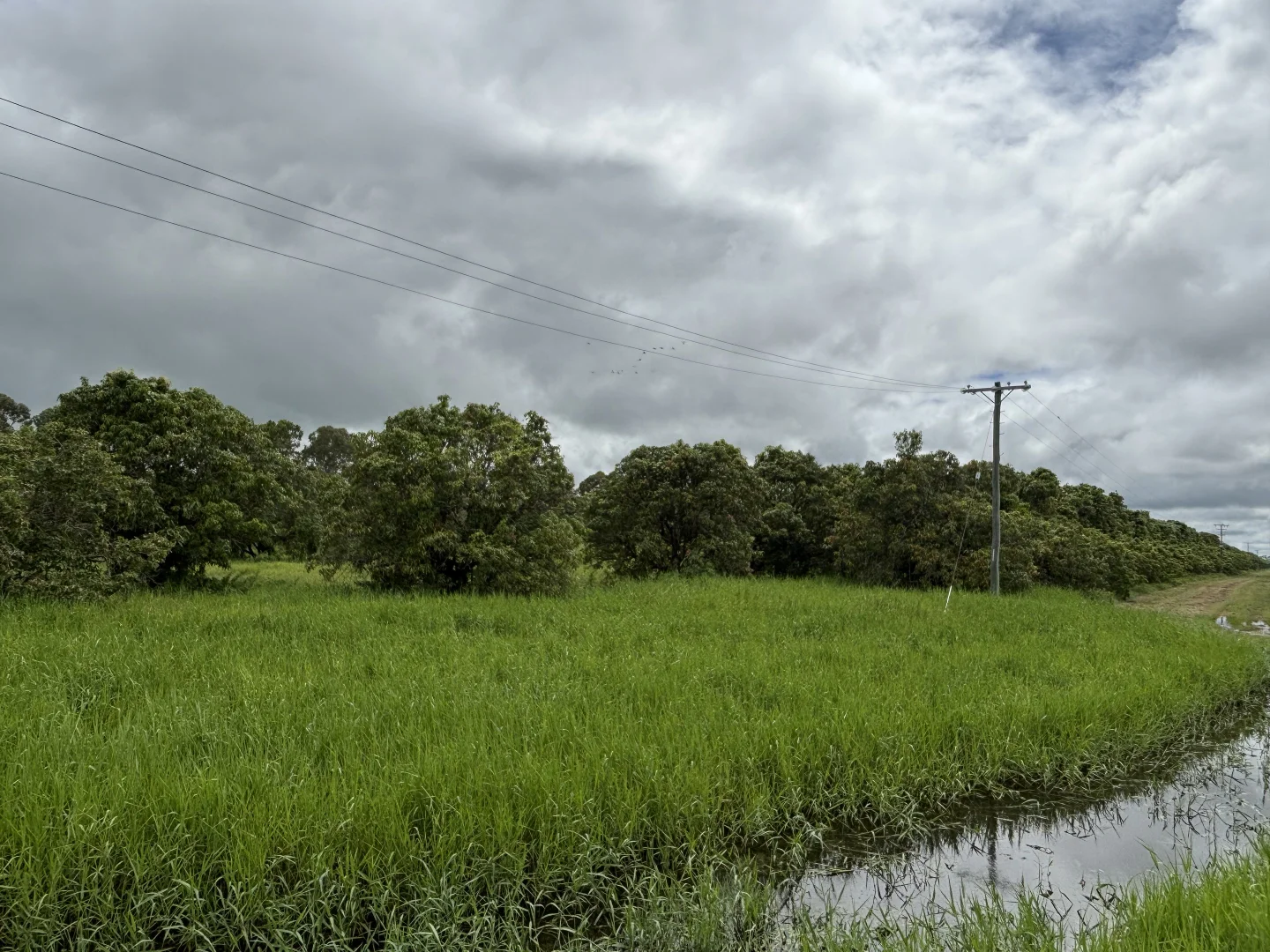 Additional image 2 of 425 Bartlett Road, Horseshoe Lagoon QLD 4809
