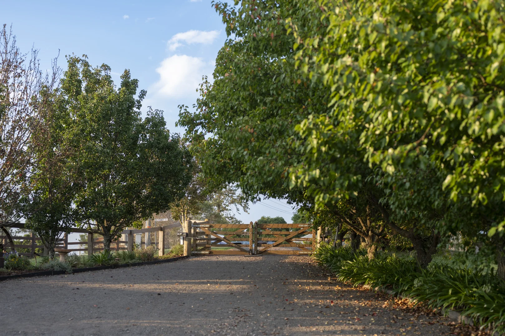 Additional image 32 of 25 Swan Street, Hinton NSW 2321