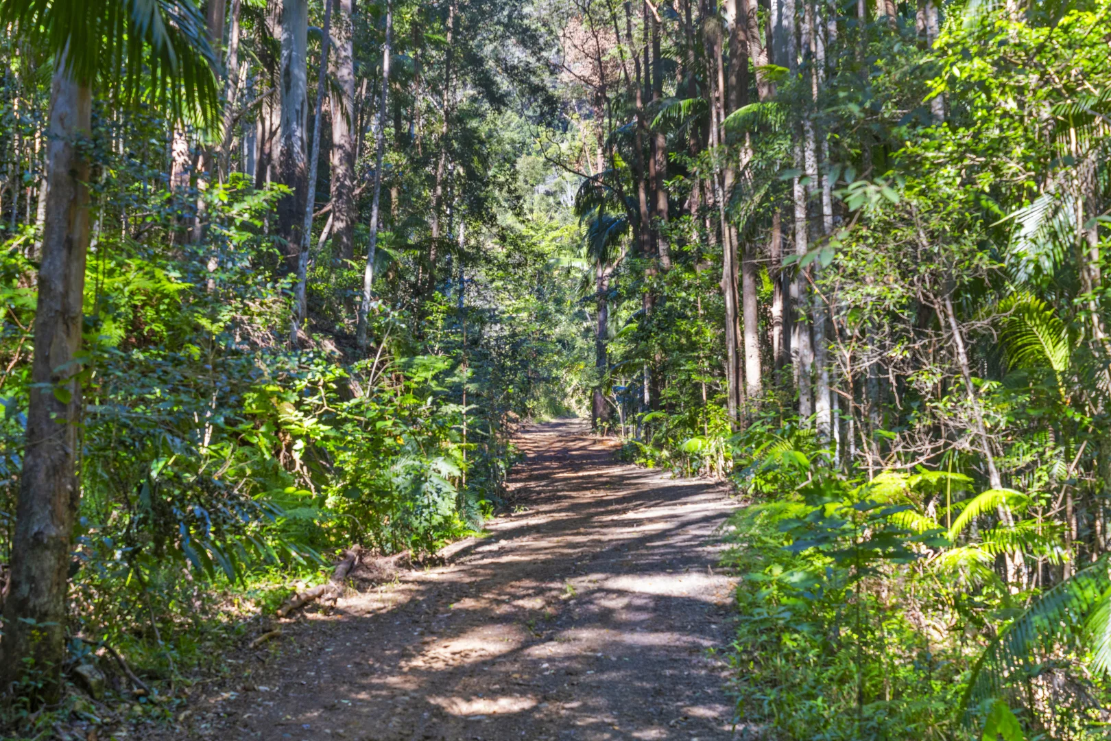 Additional image 17 of 193 Petsch Creek Road, Tallebudgera Valley QLD 4228
