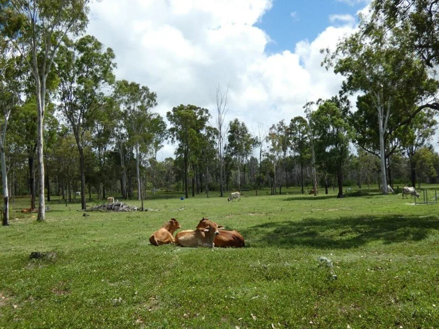 Additional image 14 of 277 Bushlands Road, Bororen QLD 4678