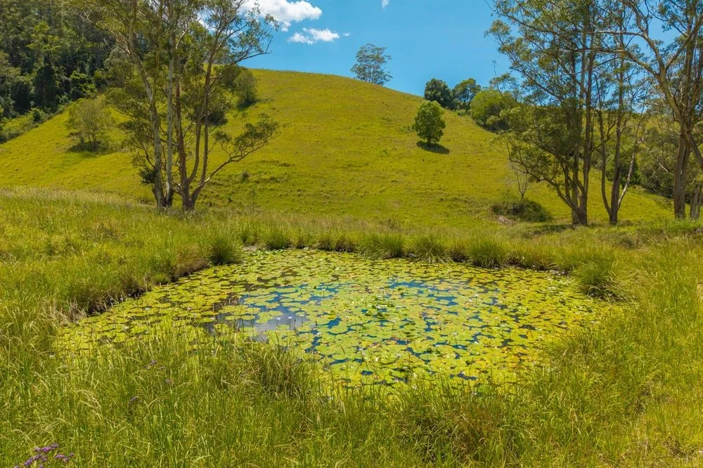 Additional image 26 of 486 North Branch Rd, Upsalls Creek NSW 2439