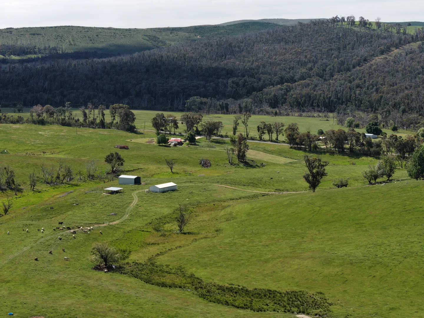 Additional image 5 of 954 Courabyra Road, Tumbarumba NSW 2653
