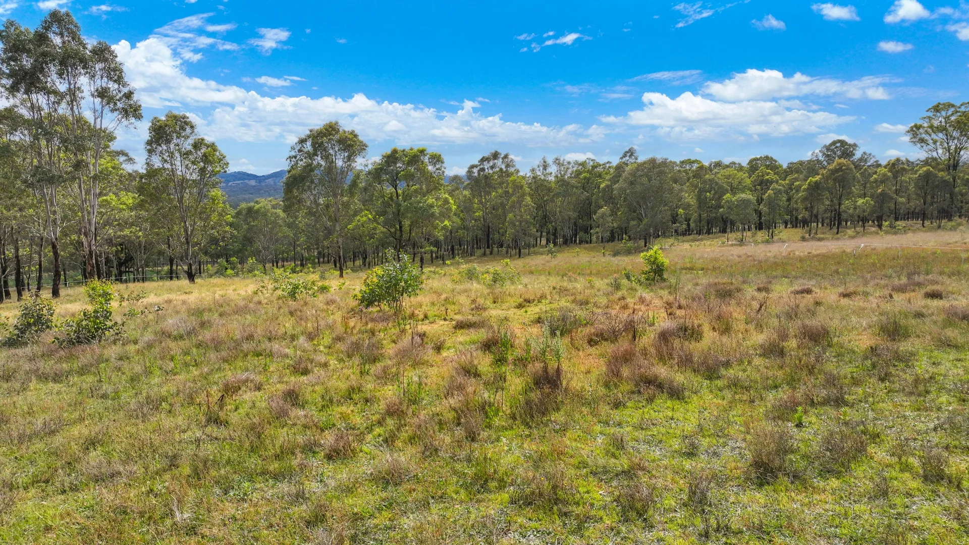 Additional image 14 of 5 Stage Woodland Ridge, Muswellbrook NSW 2333