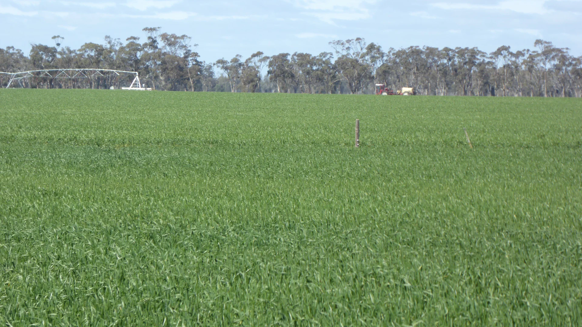 Additional image 8 of 139 Packer Road, Bordertown South SA 5268