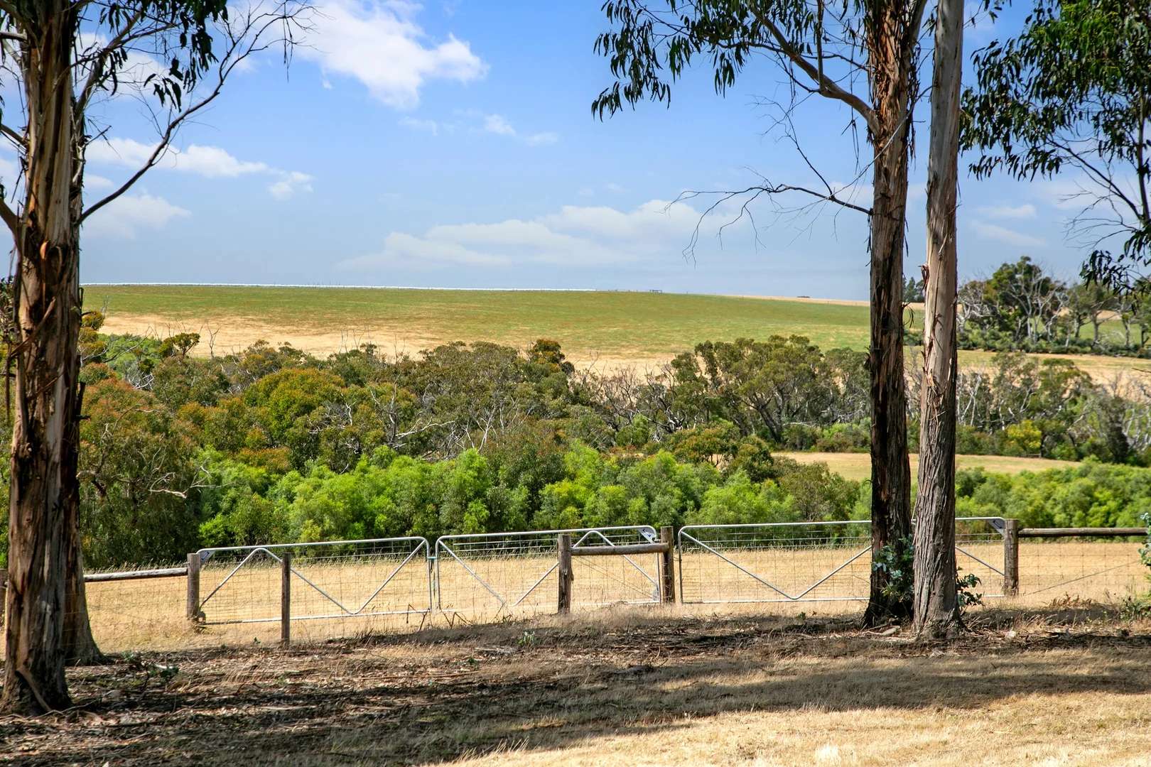 Additional image 20 of 157 Berrymans Road, Gosse SA 5223