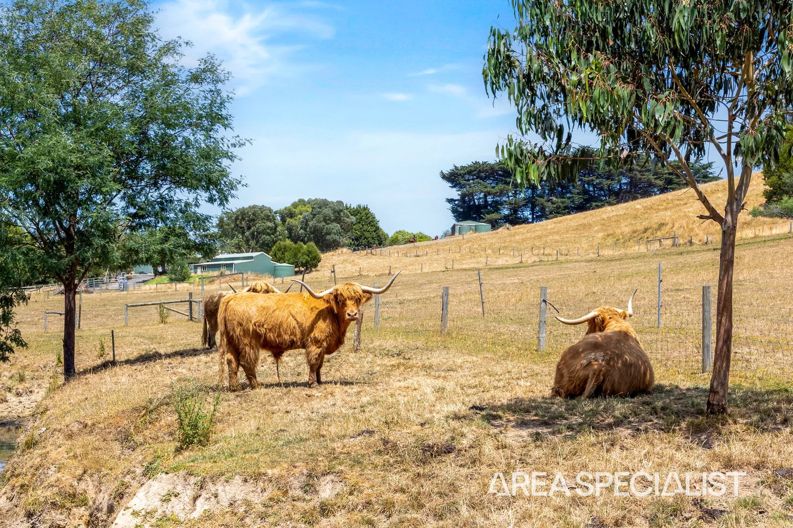 Additional image 29 of 140 Wettenhalls Road, Jeetho VIC 3945