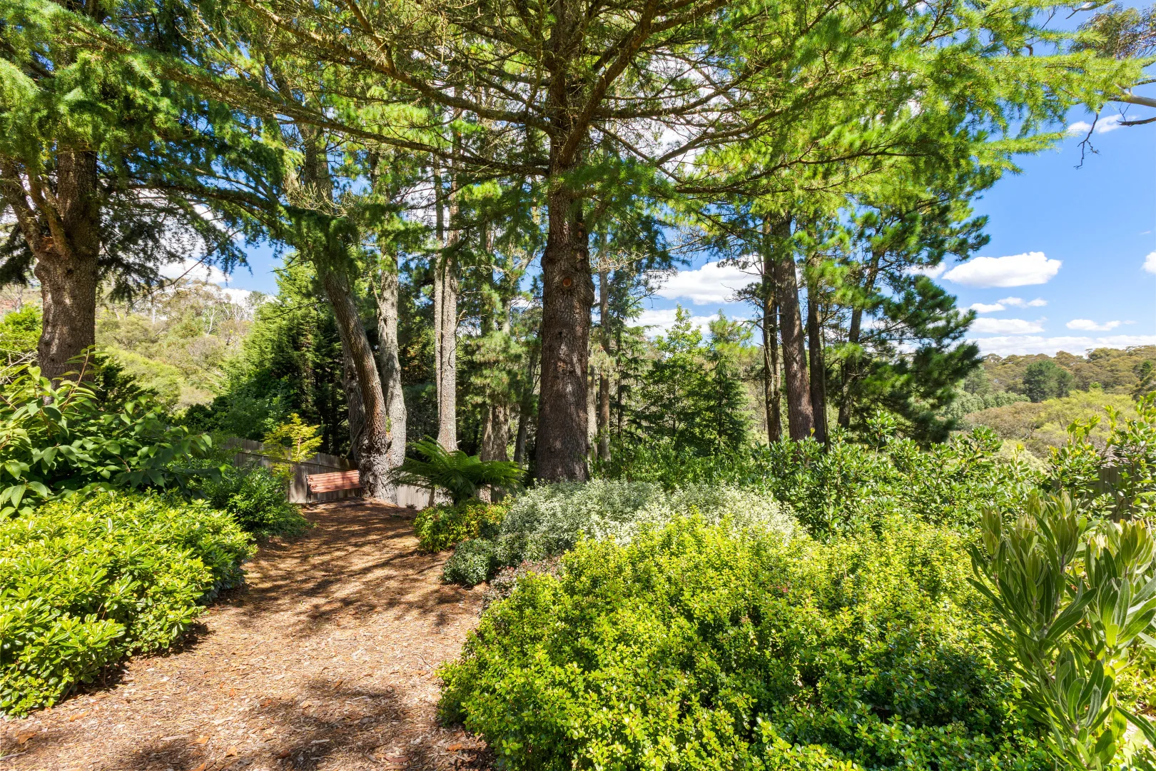 Additional image 9 of 20 Bundarra Street, Blackheath NSW 2785