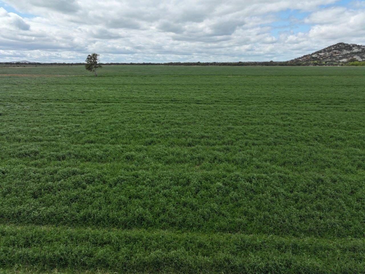 Additional image 25 of - Oneil Street, Pyramid Hill VIC 3575