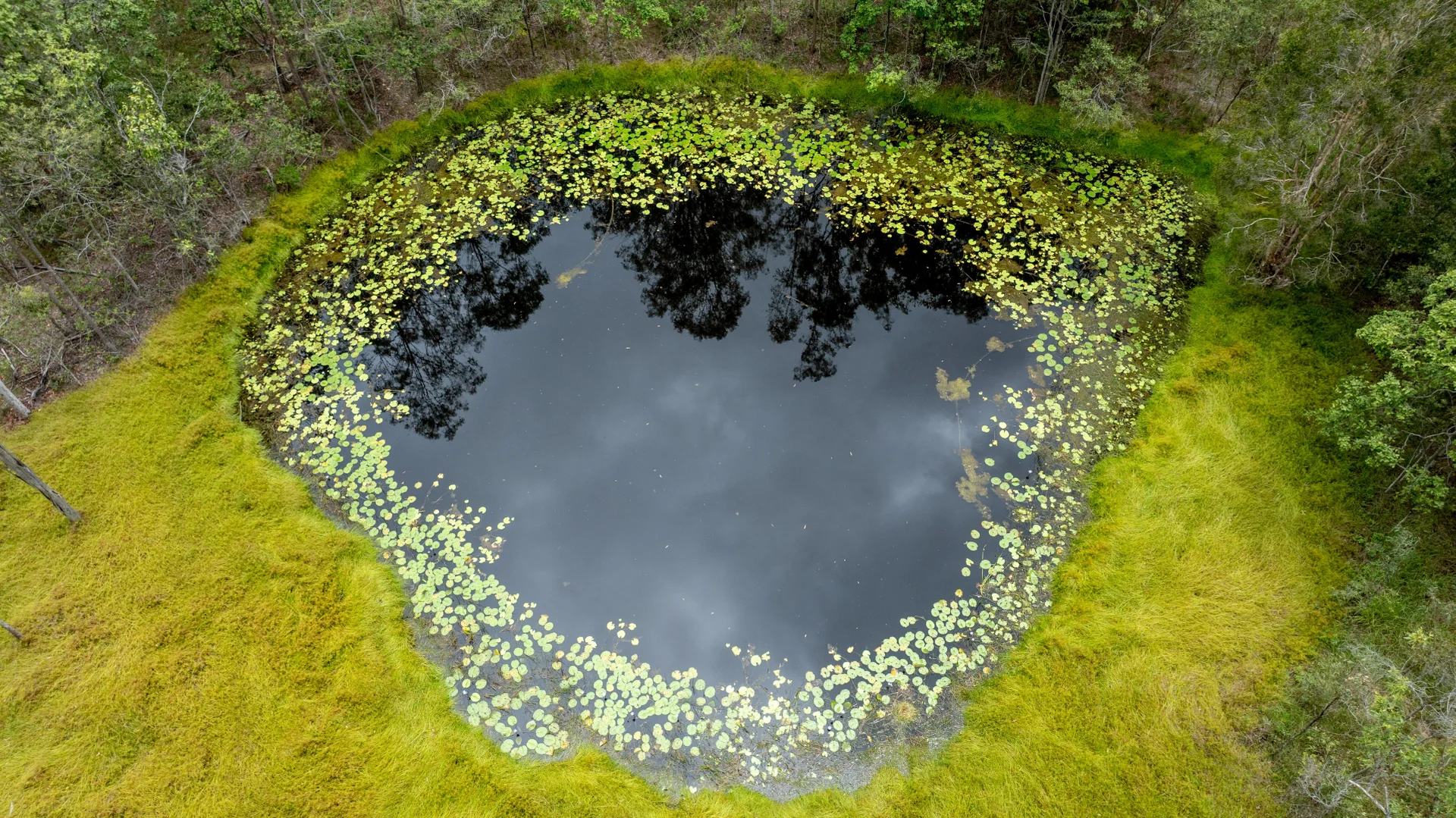 Additional image 27 of 49 Arborfourteen Road, Glenwood QLD 4570