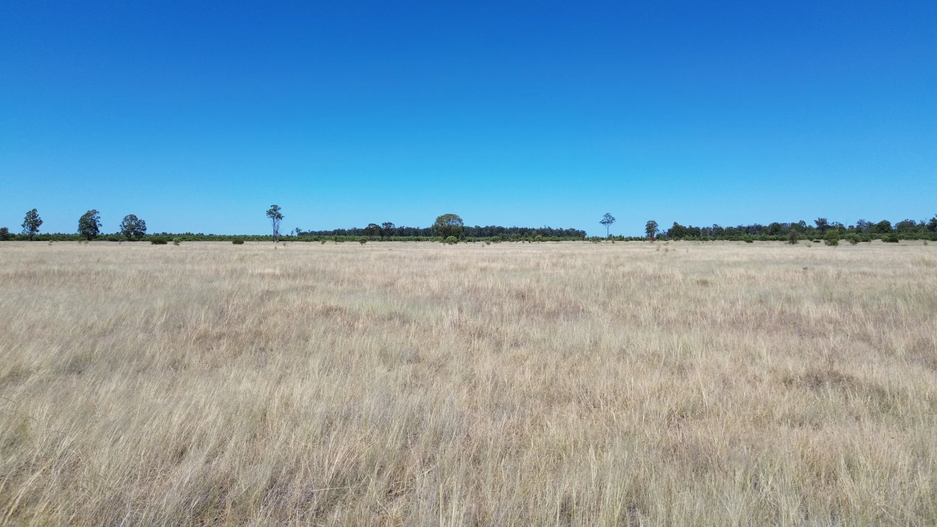 Additional image 22 of Lot 4 Chinchilla-Tara Rd, Wieambilla QLD 4413