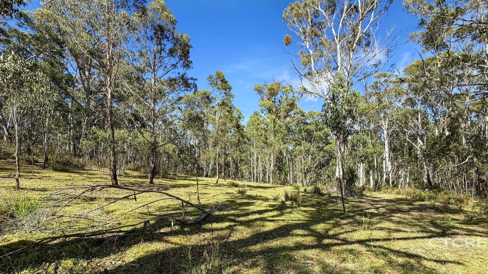 Additional image 11 of 12F & 12G Minchins Track, Bonang VIC 3888