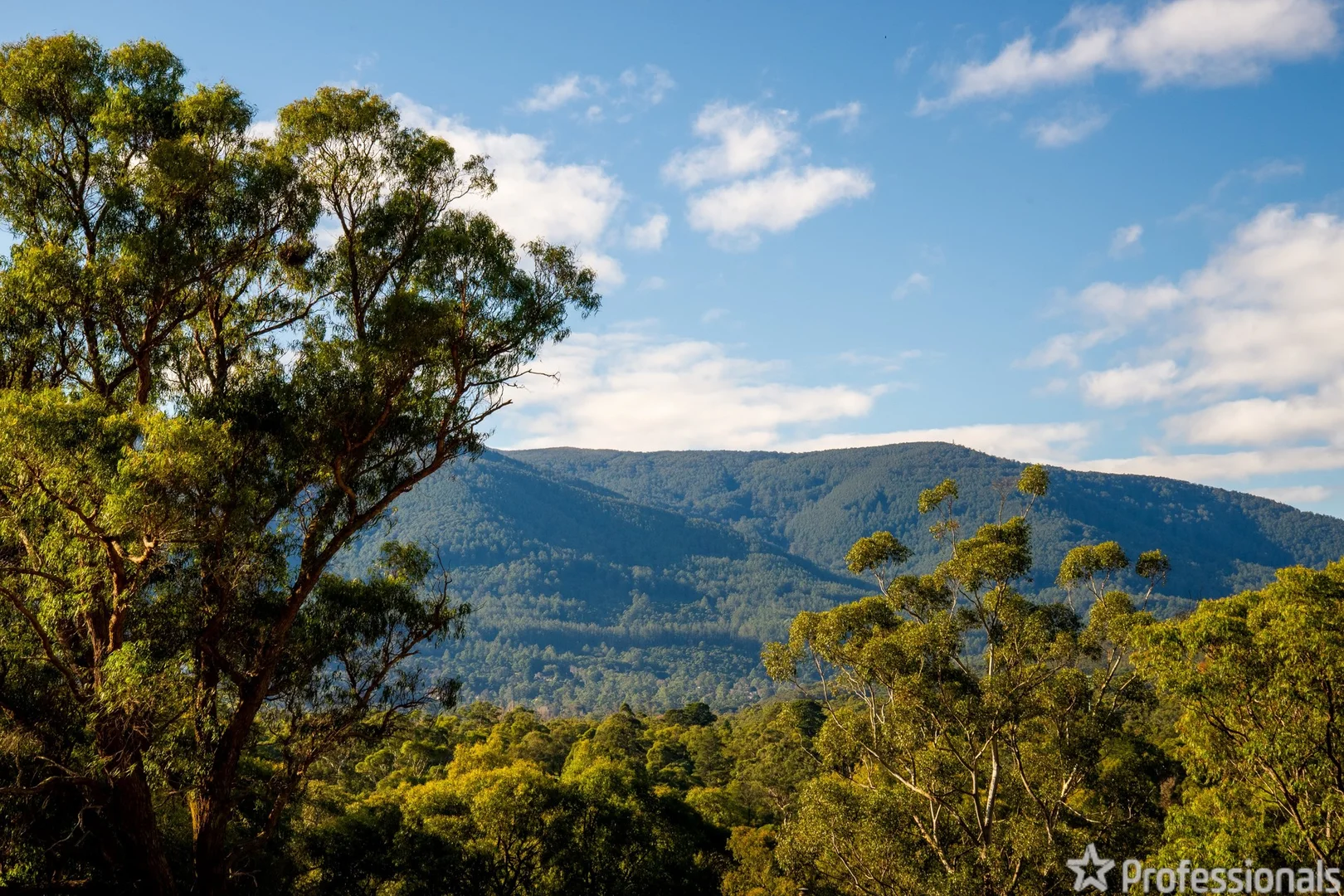 Additional image 8 of 3/13 Timberbelle Place, Yarra Junction VIC 3797