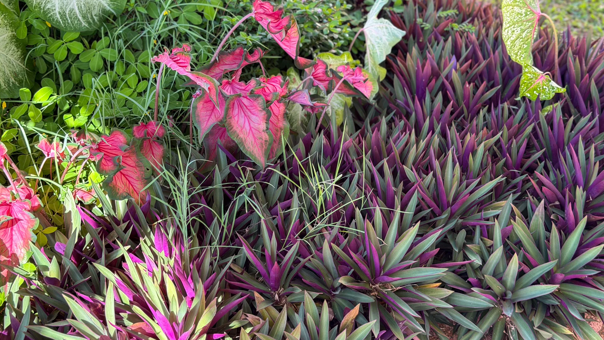 Additional image 34 of 25 Kent Cl, Mission Beach QLD 4852