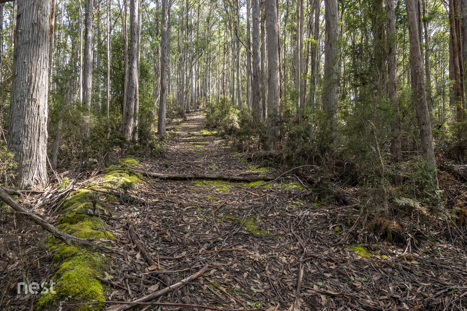 Additional image 7 of 405 Whittons Road, Kettering TAS 7155