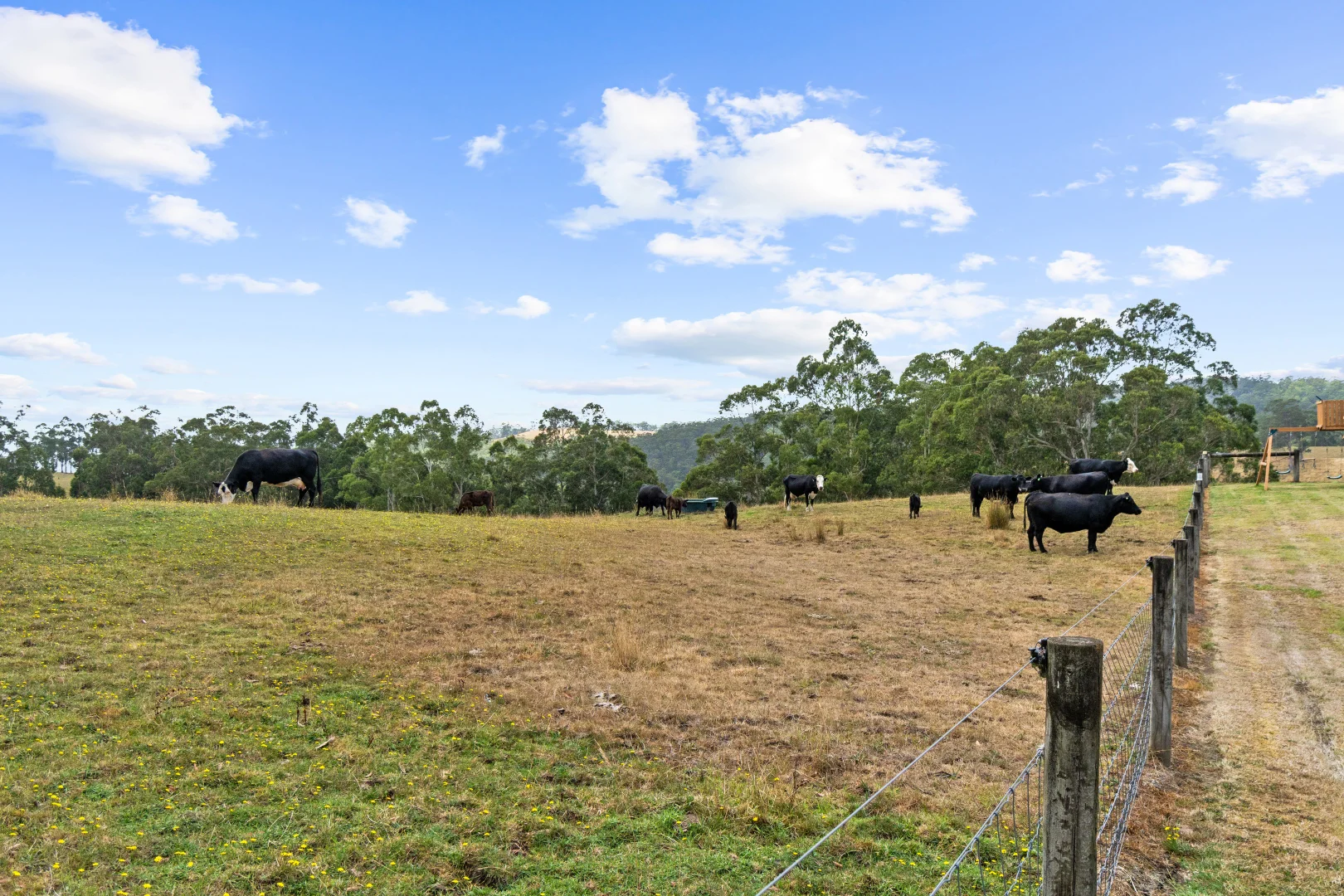 Additional image 24 of 58 Martins Road, Willung South VIC 3847