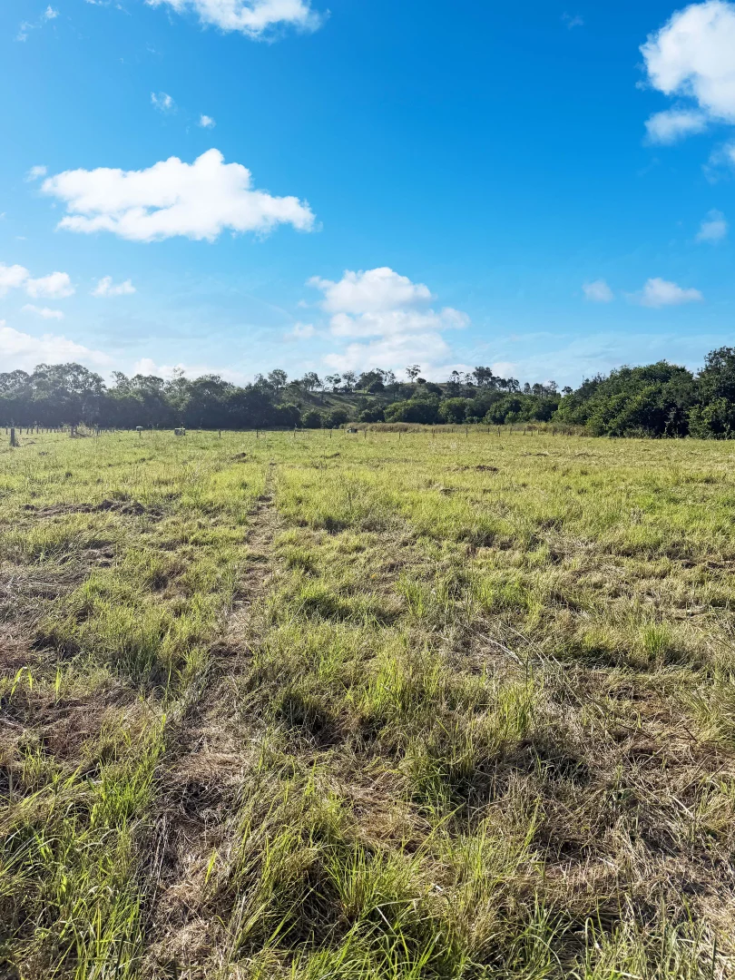 Additional image 3 of Burnett Highway, Goomeri QLD 4601