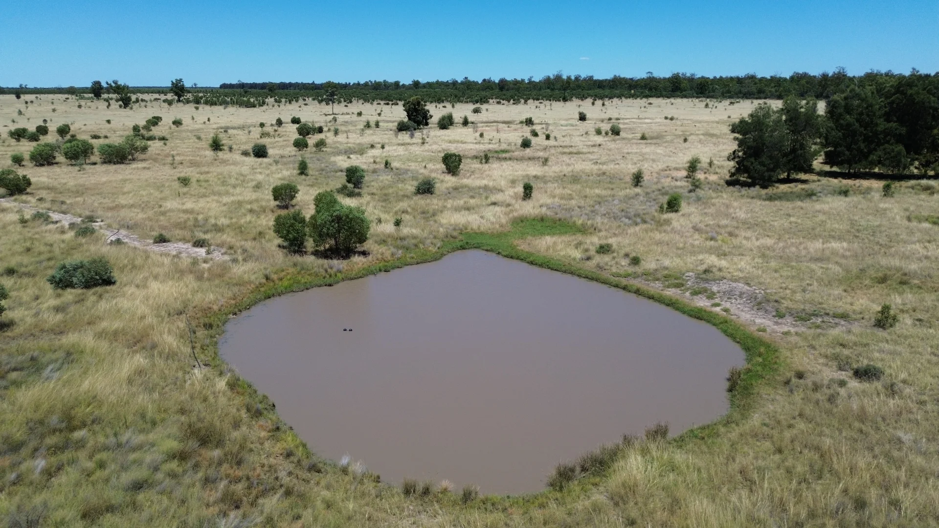 Additional image 14 of Lot 4 Chinchilla-Tara Rd, Wieambilla QLD 4413