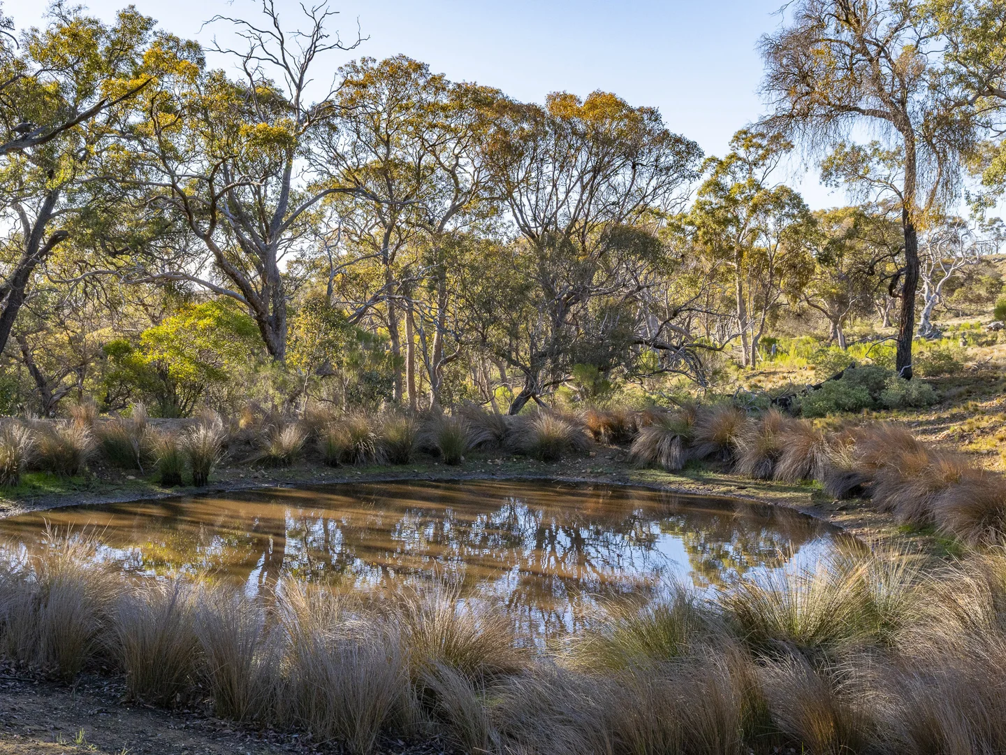 Additional image 7 of Lot 1\TP340748 Ironbark Road, Maddingley VIC 3340