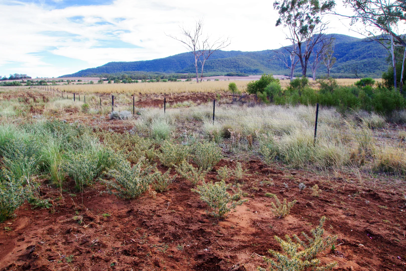 Additional image 9 of 2381. Killarney Gap Road, Narrabri NSW 2390