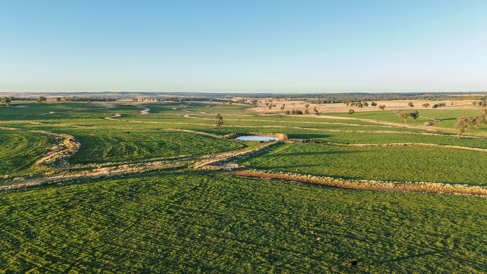 Additional image 9 of 38 Tallawonga Road, Elong Elong NSW 2831