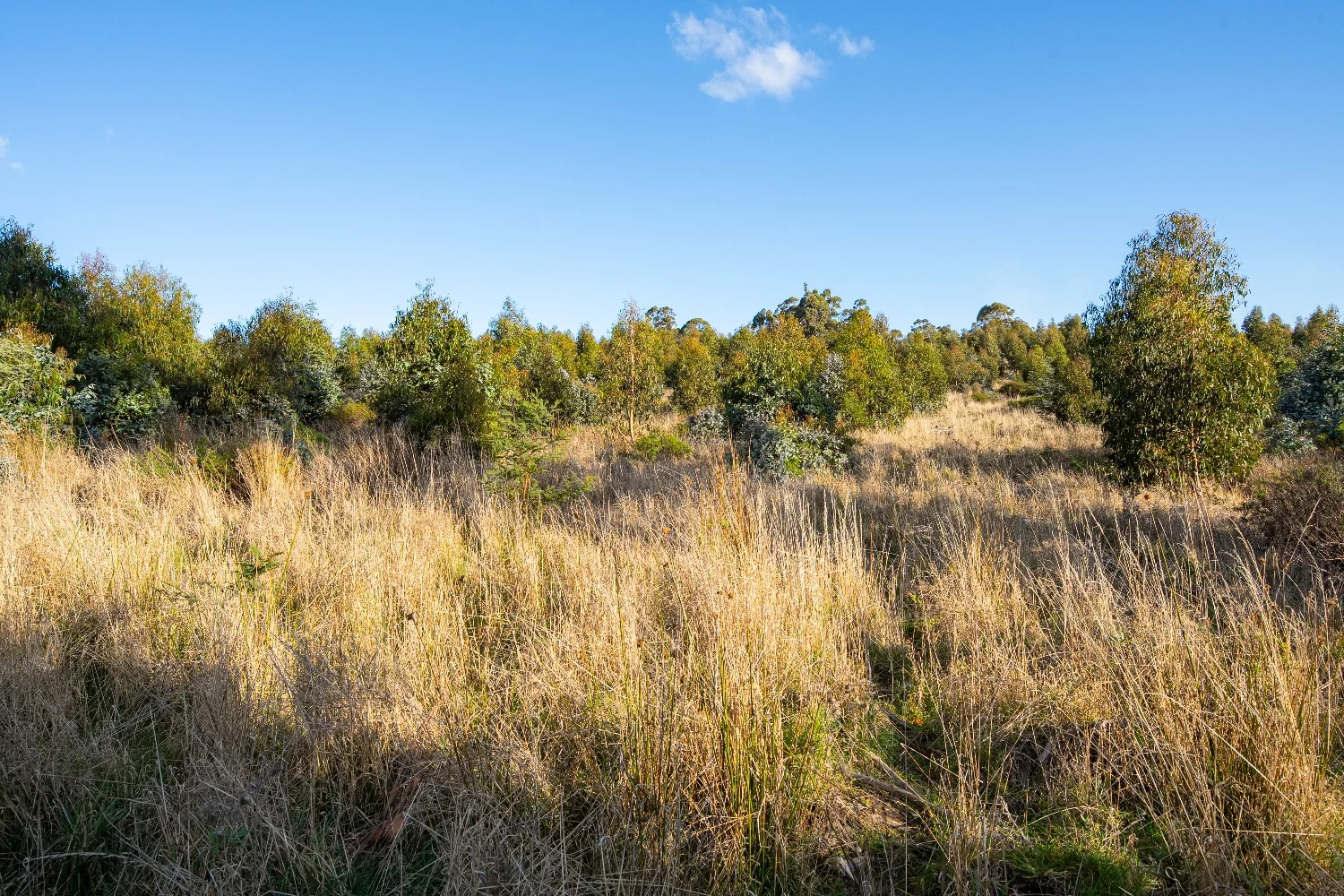 Additional image 3 of Lot 6 Paddys Lane, Franklin TAS 7113