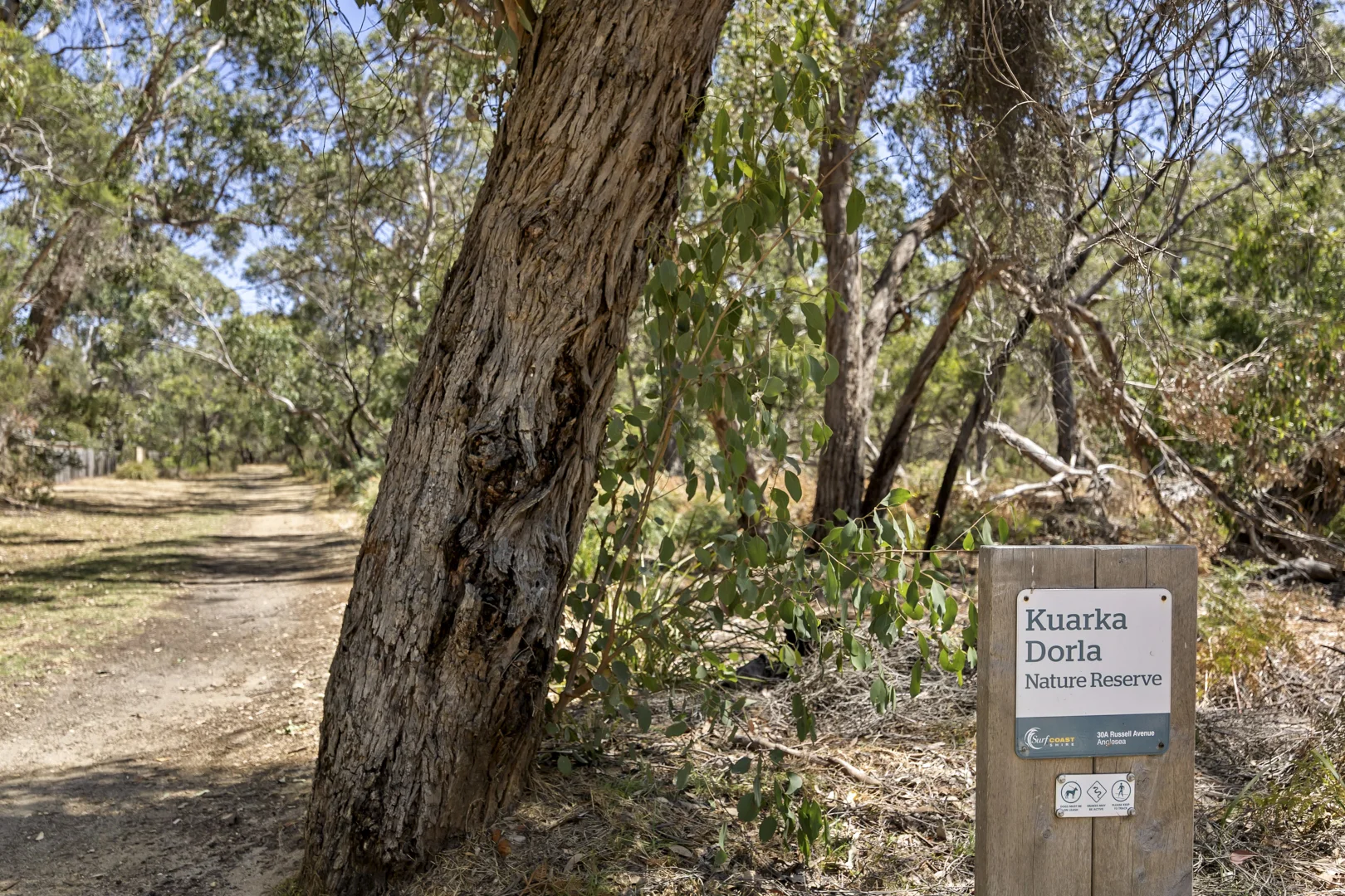 Additional image 12 of 7 Paringa Crescent, Anglesea VIC 3230