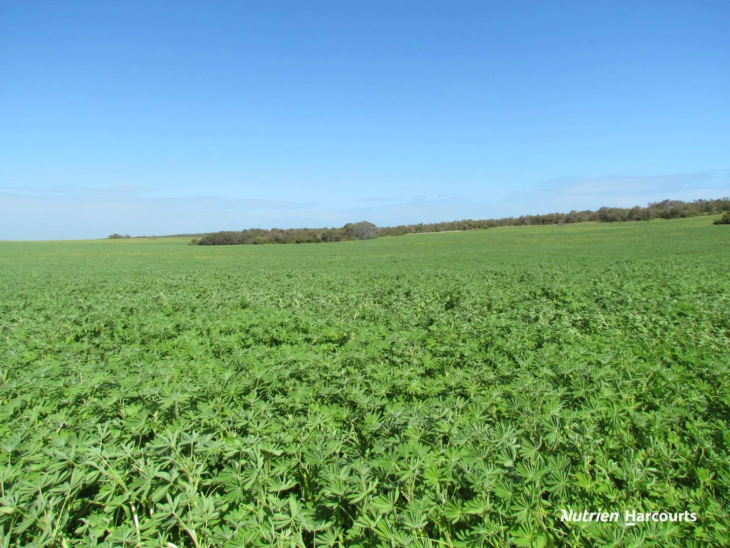 Additional image 2 of 40 Matsen Road, Dongara WA 6525