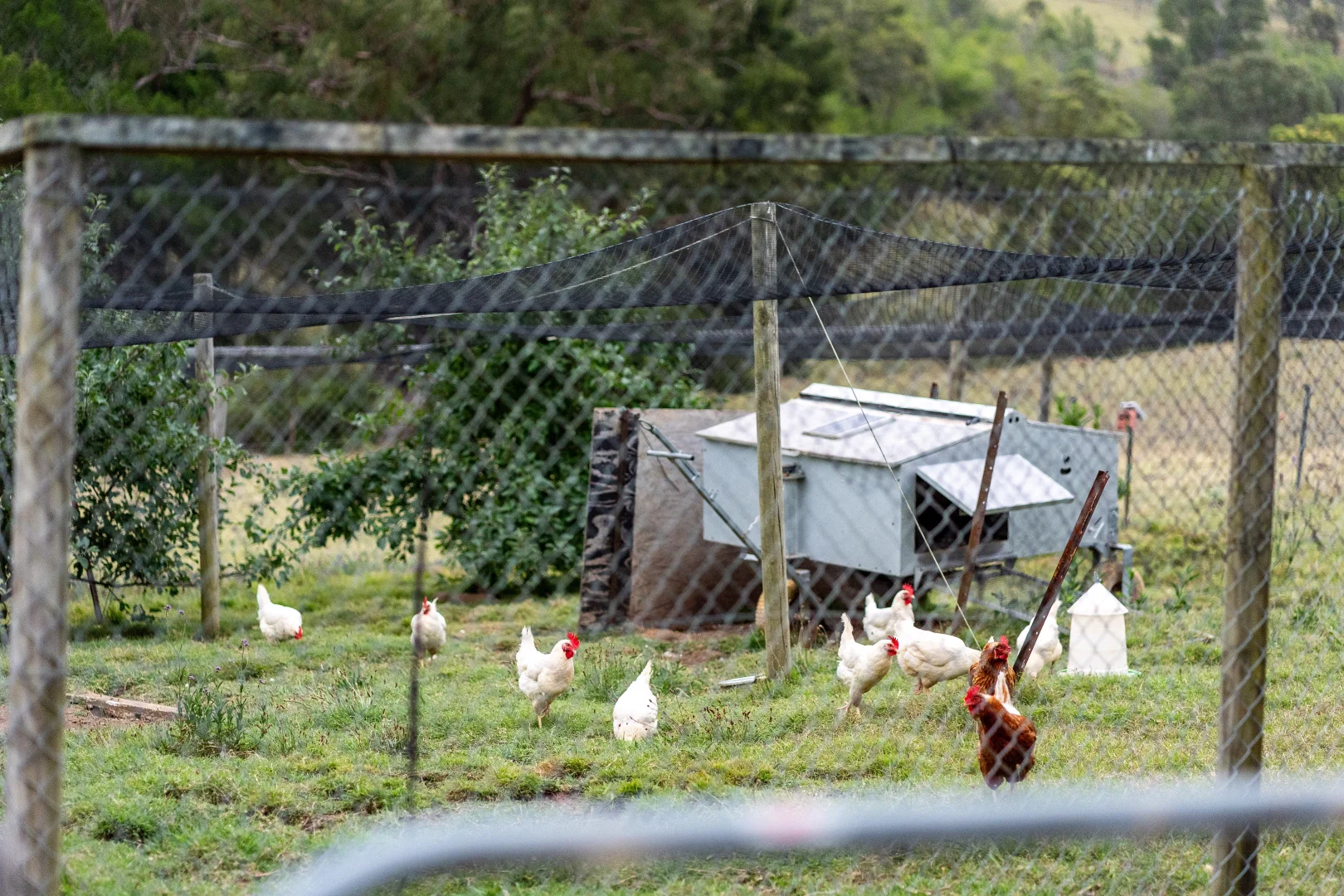 Additional image 18 of 185 Pulpit Rock Road, Bullio NSW 2575