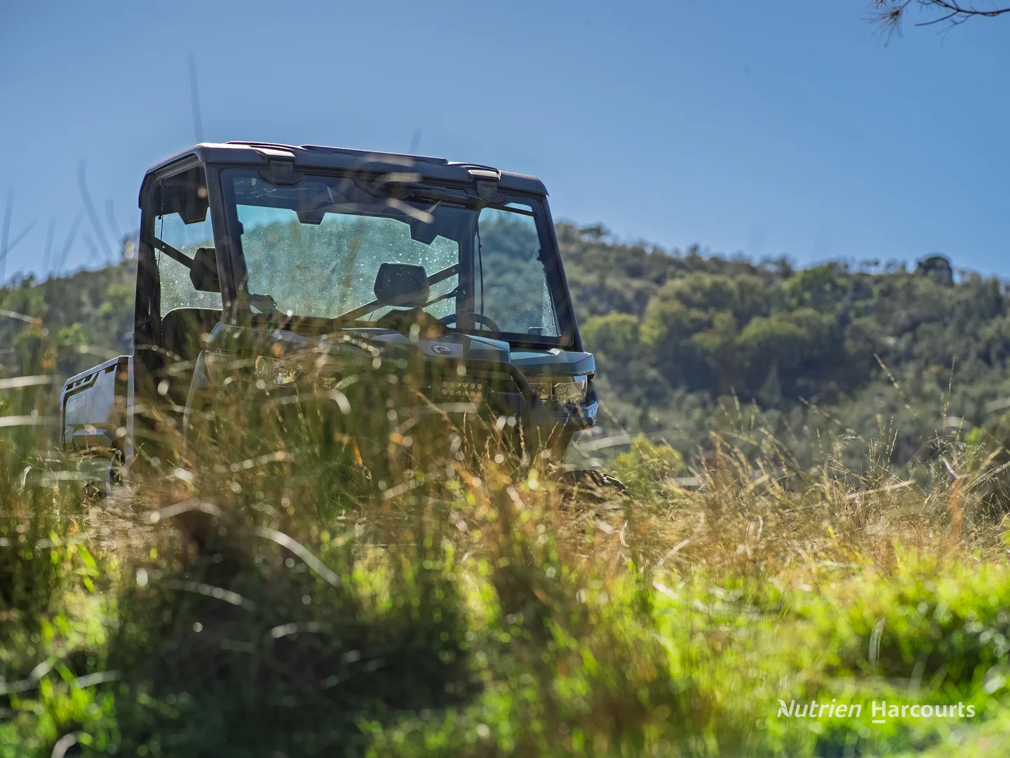 Additional image 27 of 206 - 208 Rocky Glen Road, Kingstown NSW 2358