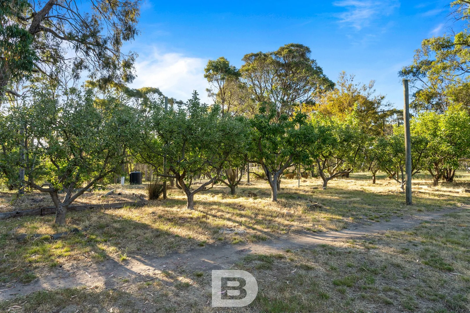 Additional image 15 of 212 Portwines Road, Lauriston VIC 3444