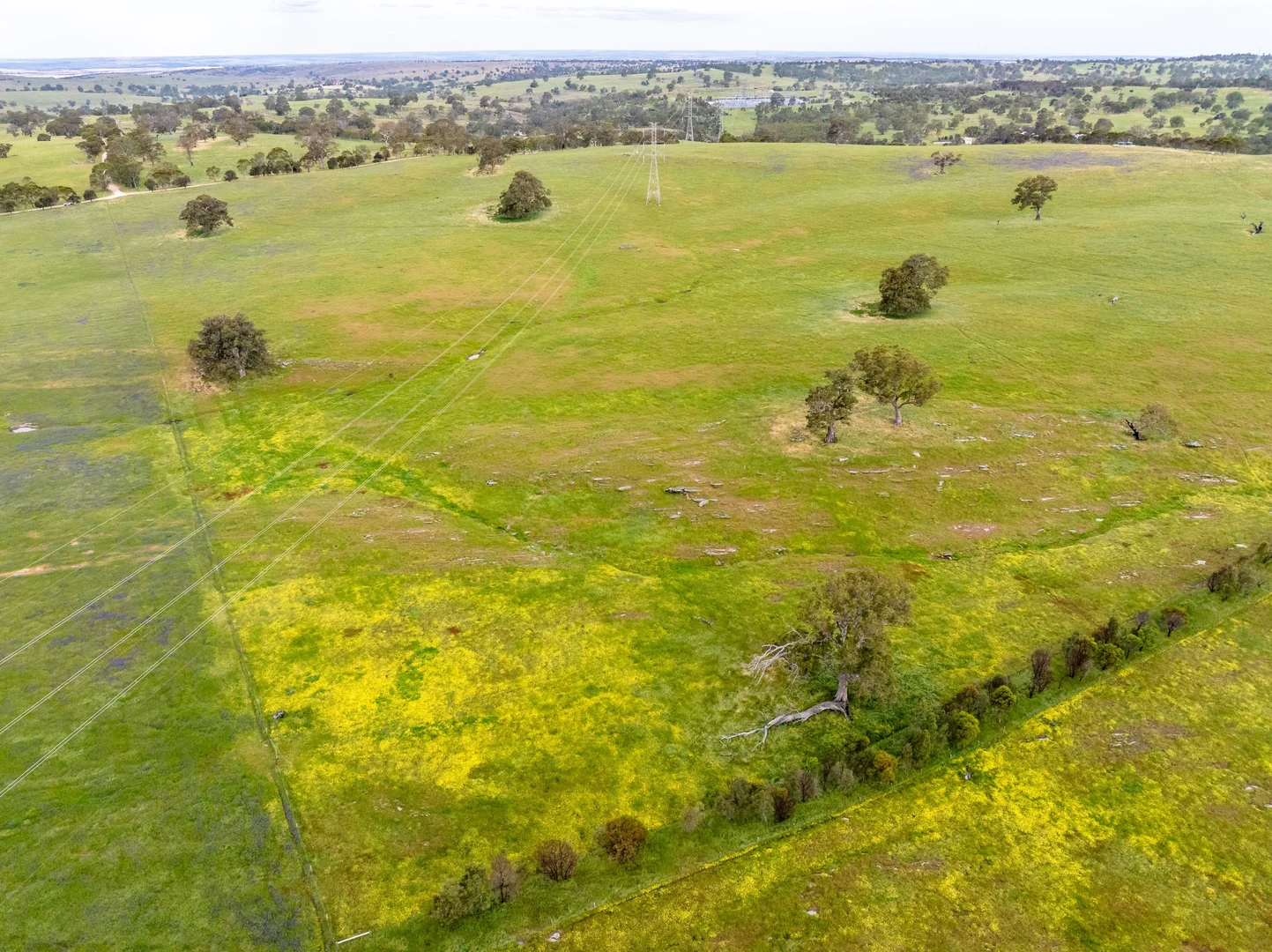 Additional image 16 of 312 Collins Road, Tungkillo SA 5236