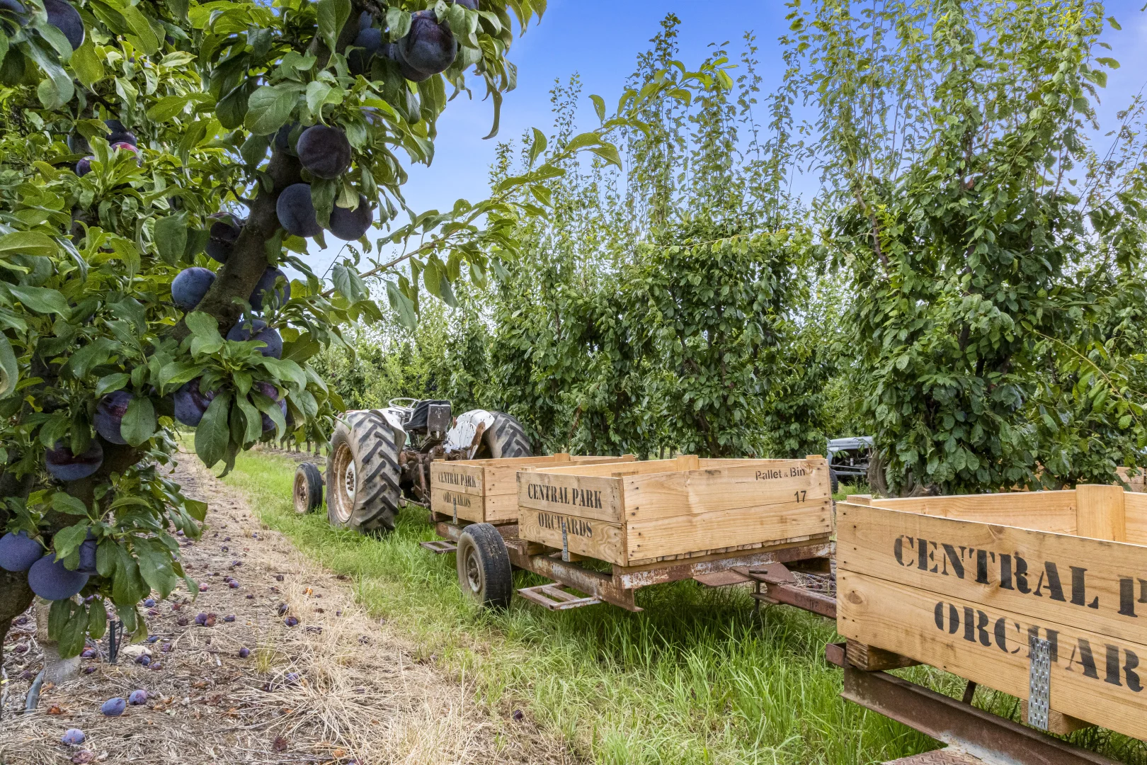 Additional image 14 of 595 Channel Road, Shepparton East VIC 3631